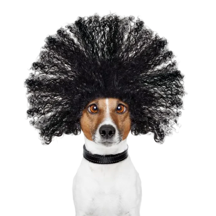 The Benefits of Everflon™+ FEP and PFA Conductive Polymers