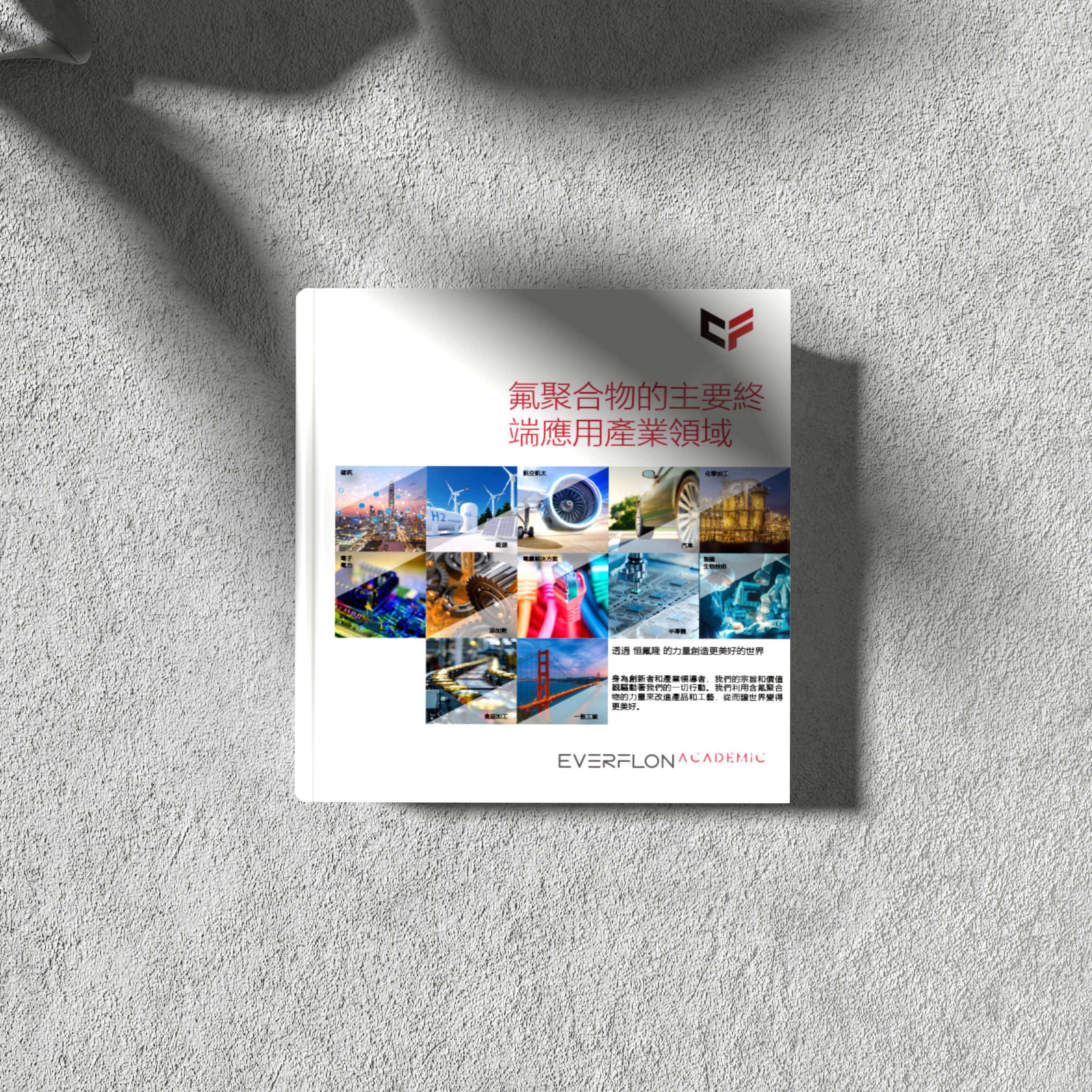 恒氟隆™ 氟聚合物应用手册